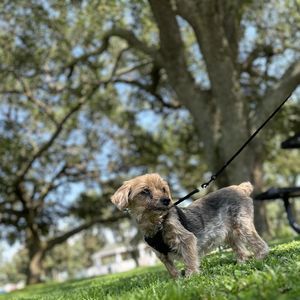 Meet your Posher, Margaret